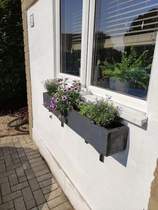 The Old Bar In Wiltshire - 1 Bedroom Guesthouse Chippenham  Eksteriør billede
